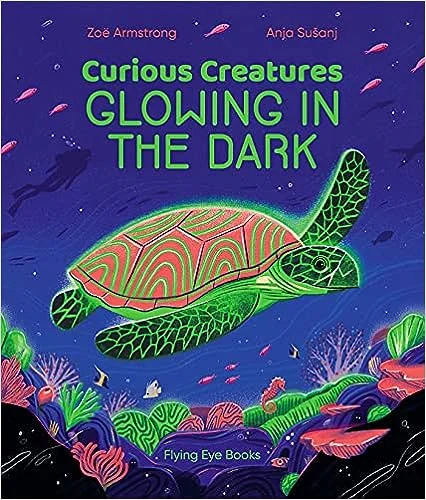 Fairy - winged plush toys for magical play​ Curious Creatures Glowing In The Dark